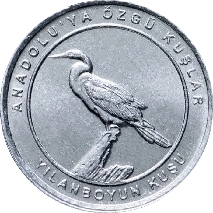 Yılanboyun Kuşu